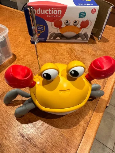 CANGREJO PARA BEBE